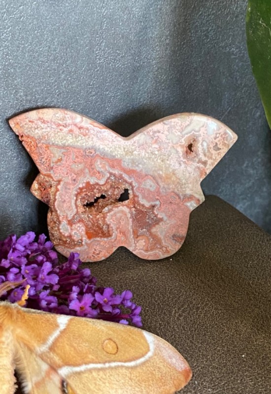 116af35d 7745 43b4 b25c 04d9cd46dd1e