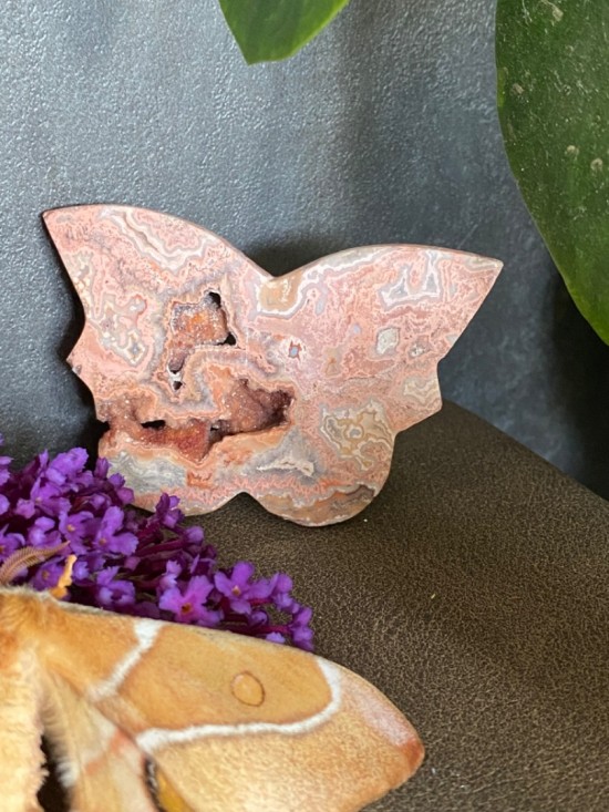 316a3910 0927 4dd8 8788 9125569f91df