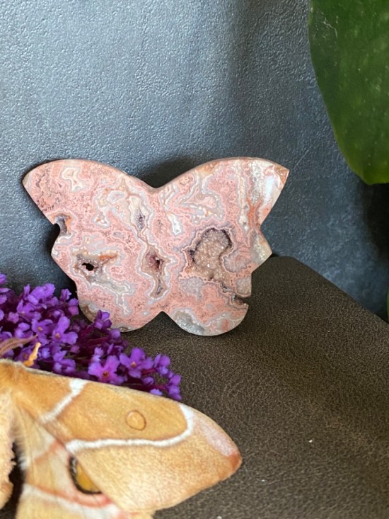 3db5f005 7213 4011 a3bd e33283371c0d